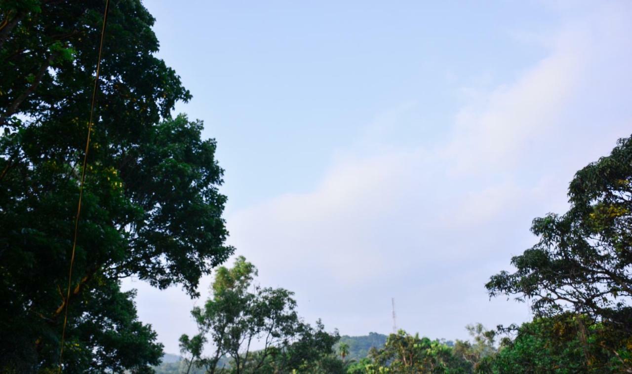 Ceylon Saradiel Home Stay Mawanella Екстериор снимка